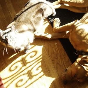 Meet your Posher, Sharon